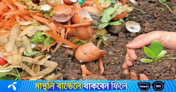 রান্নাঘরের ফেলনা থেকেই বানাতে পারেন জৈব সার