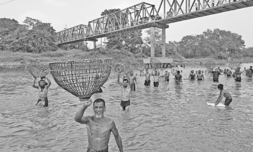 গোমতী নদীতে পলো উৎসব