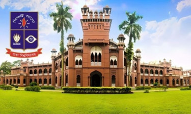 ঢাবিতে বৃষ্টির পানিতে বিদ্যুৎস্পৃষ্টে কুকুরের মৃত্যু, শিক্ষার্থীদের আতঙ্ক