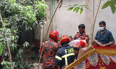 নগরকান্দায় সেপটিক ট্যাংক থেকে বৃদ্ধার লাশ উদ্ধার