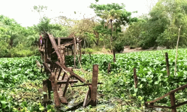 তালতলীতে লোহার সেতু ভেঙে খালে, দুর্ভোগে হাজারো মানুষ