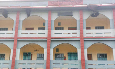 মধু বিক্রির টাকায় শিক্ষার্থীদের খেলাধুলার সরঞ্জাম, প্রশংসিত বিদ্যালয় কর্তৃপক্ষ