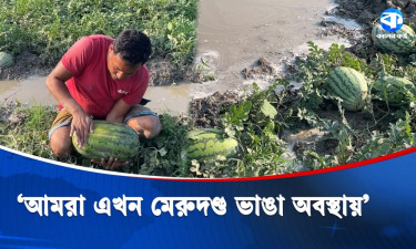 মিরসরাইয়ে বৃষ্টির পানিতে প্লাবিত তরমুজ ক্ষেত, কোটি টাকা ক্ষতির আশঙ্কা