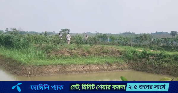 কেমিক্যাল বিষমুক্ত খাবার পেতে কৃষি খামার গড়লেন উদ্যোক্তা
