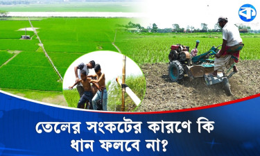 তেল ছাড়া ধানের স্বপ্ন অসম্পূর্ণ : কৃষক-মাঝির আক্ষেপ