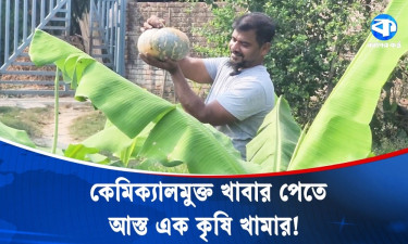 কেমিক্যাল বিষমুক্ত খাবার পেতে কৃষি খামার গড়লেন উদ্যোক্তা