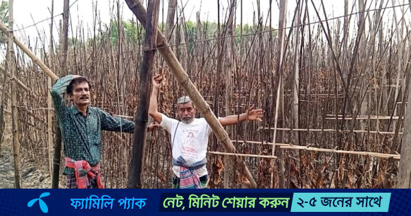 ২ পান চাষির বরজে আগুন, কোটি টাকার ক্ষতি