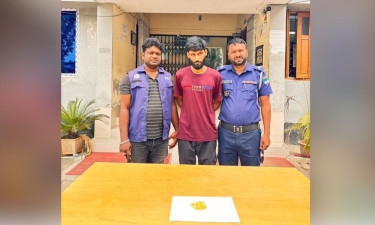 কালীগঞ্জে ইয়াবাসহ যুবক গ্রেপ্তার