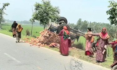 ফুলবাড়ীতে ইটবোঝাই ট্রলি উল্টে চালকের মৃত্যু