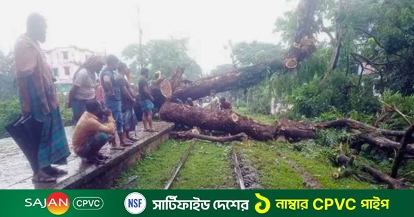 রেললাইনে গাছ পড়ায় উপকূল এক্সপ্রেসের যাত্রায় বিলম্ব