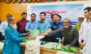 সিংড়ায় কৃষকদের মাঝে বিনামূল্যে কৃষিসামগ্রী বিতরণ