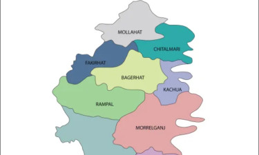 তালগাছ থেকে পড়ে দর্জির মর্মান্তিক মৃত্যু