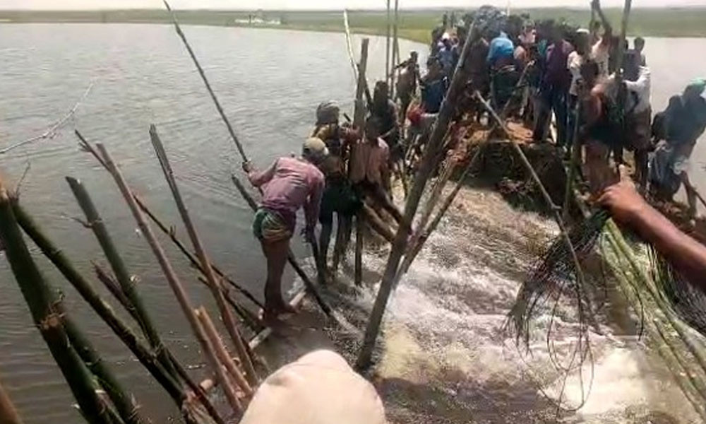 বাঁধ ভেঙে পানি ঢুকছে হাওরের বোরো ক্ষেতে