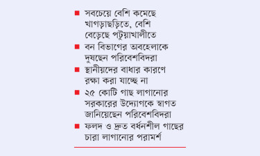 পাহাড়ে কমছে বন, বাড়ছে উপকূলে