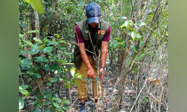 সুন্দরবনে হরিণ শিকারের ২৫ ফাঁদ উদ্ধার