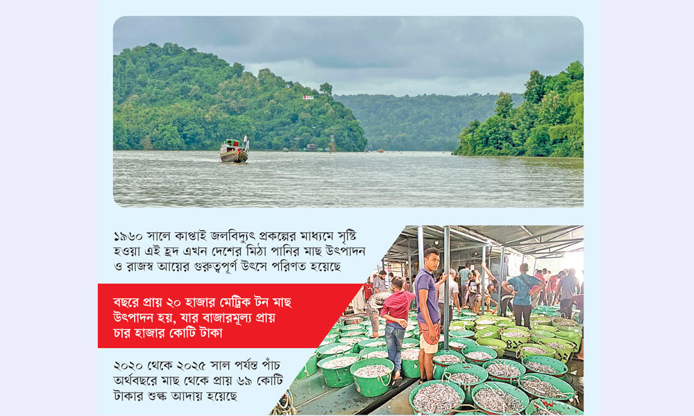 ইউরোপ-মধ্যপ্রাচ্যে যাচ্ছে কাপ্তাইয়ের মাছ