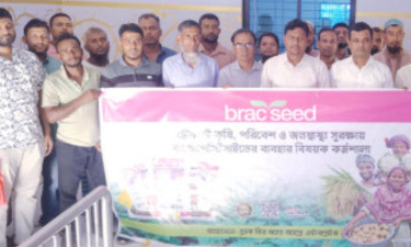 কুমিল্লায় বিষমুক্ত ও পরিবেশবান্ধব ফসল উৎপাদনে কৃষকদের প্রশিক্ষণ