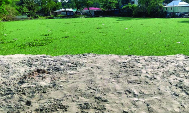 দাঁড়িয়ে থেকে পুকুর ভরাট করছেন ছাত্রদলের সাবেক সভাপতি
