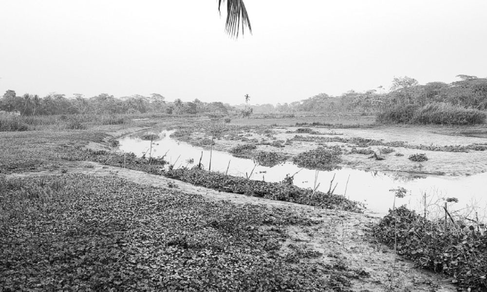 দখল-দূষণে দম বন্ধ বলেশ্বর নদের