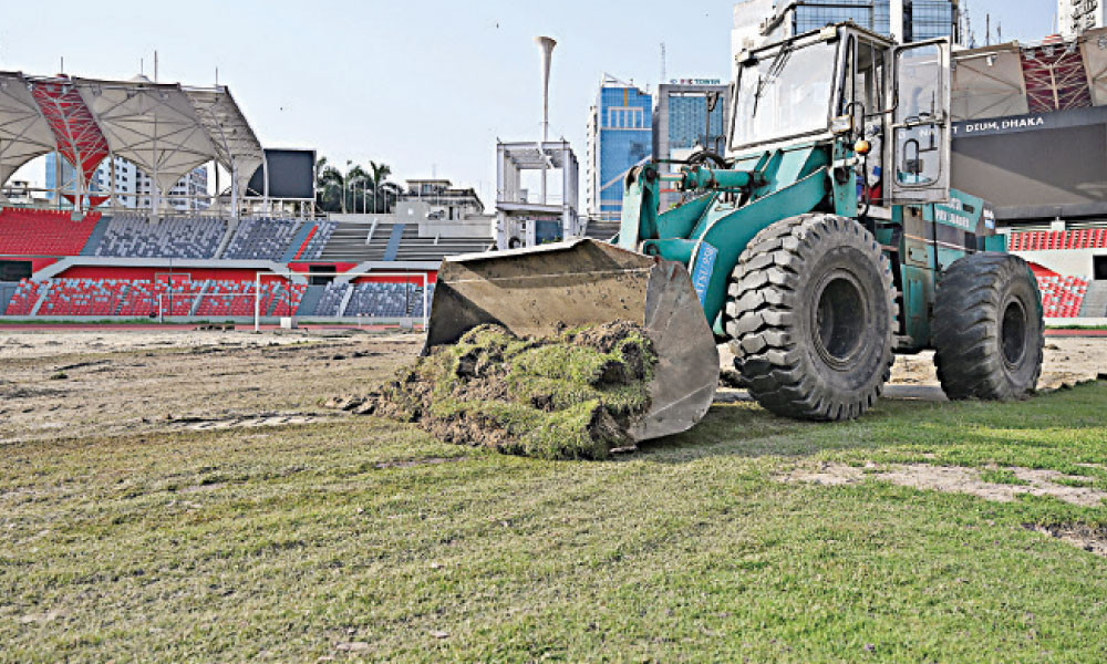 বসবে নতুন ঘাস