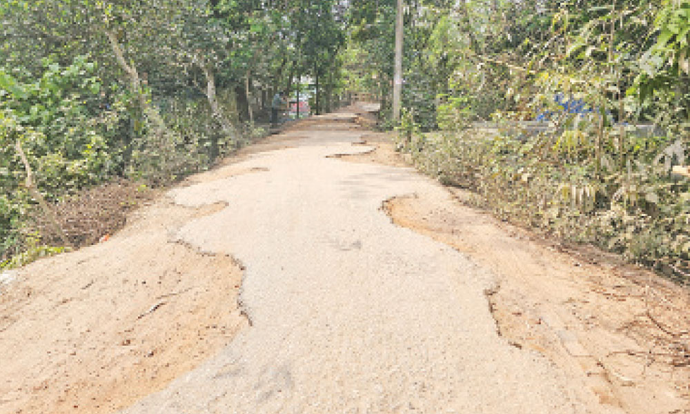 খানাখন্দে ভরা সড়কে চলাচলে ভোগান্তি