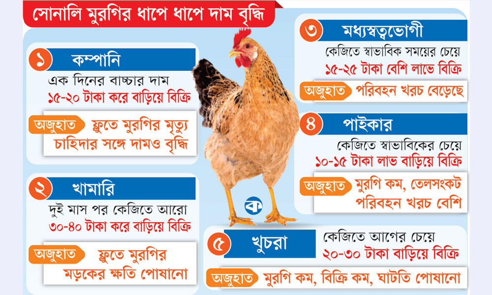 লোভের আগুন সোনালিতে