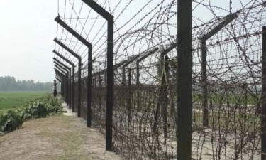 কুড়িগ্রাম সীমান্তে আটক ২ বাংলাদেশিকে ফেরত দিল বিএসএফ