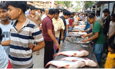ফরিদপুরের ঢেউখালী বাজারে ঐতিহ্যবাহী বৈশাখী মৎস্য মেলা