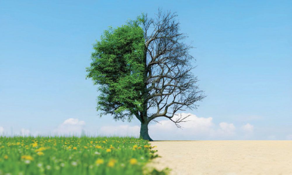 অহংকার আর ঈমানের বাস্তব উপাখ্যান