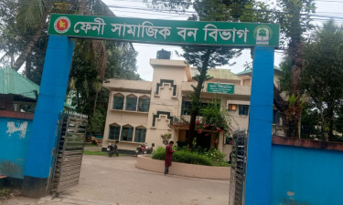 ফেনীতে ঘুষ নেওয়ার অভিযোগে চাকরি হারালেন রেঞ্জ কর্মকর্তা