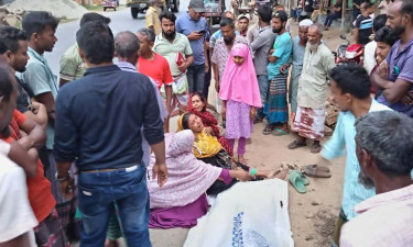 ঘোড়াঘাটে ভটভটির ধাক্কায় অটোরিকশার যাত্রী নিহত
