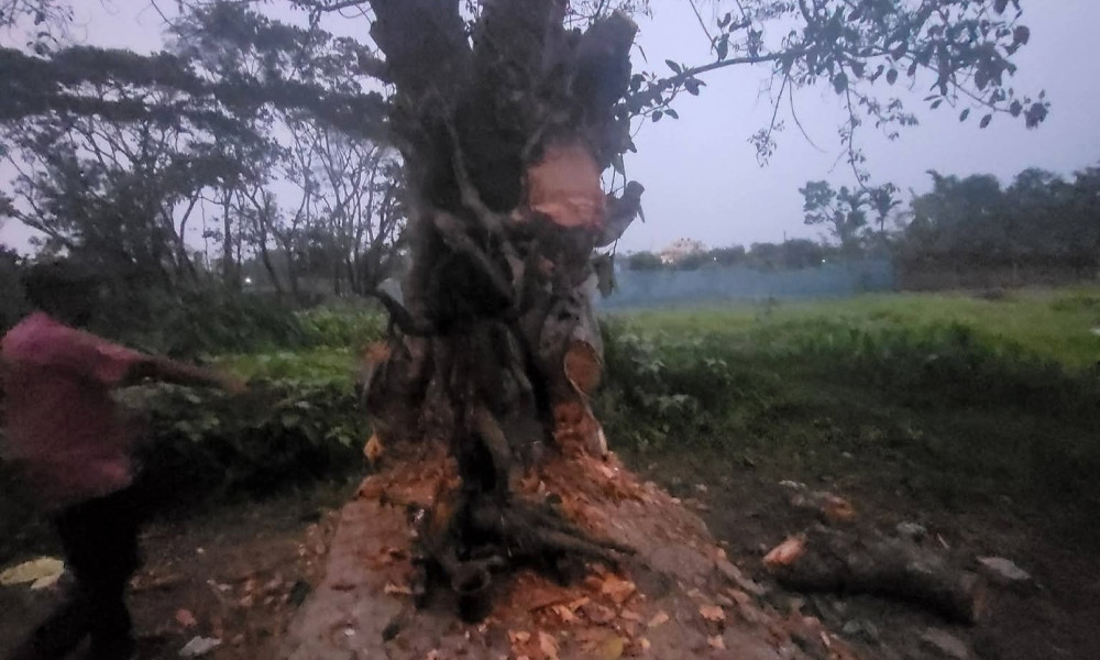 বরিশালে প্রতিমা ভাঙচুর, অভিযুক্ত ব্যক্তি কারাগারে