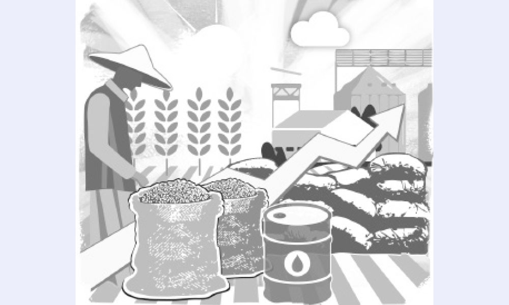 জ্বালানি ও সার সংকটে খাদ্য নিরাপত্তায় শঙ্কা