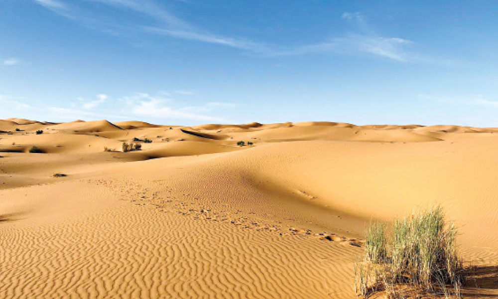 যেভাবে শহীদ হন আব্দুল্লাহ ইবনে মাখরামাহ (রা.)