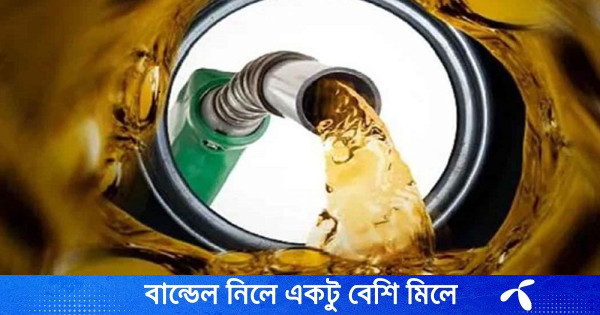 এপ্রিল ও মে মাসের জ্বালানি নিয়ে সুখবর দিলেন প্রতিমন্ত্রী