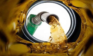 এপ্রিল ও মে মাসের জ্বালানি নিয়ে সুখবর দিলেন প্রতিমন্ত্রী