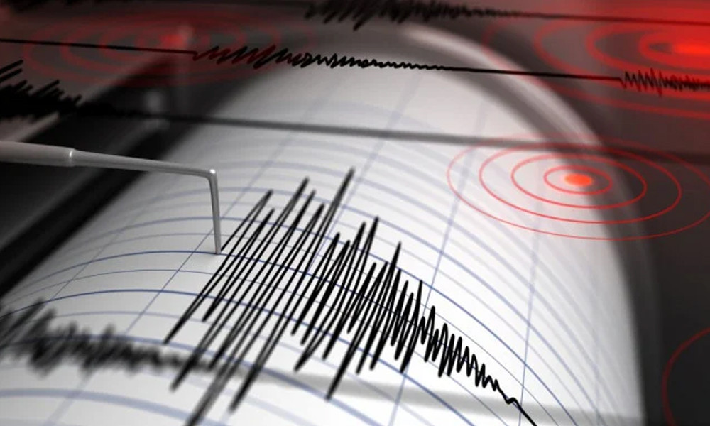 শক্তিশালী ভূমিকম্পে কাঁপল পাকিস্তান