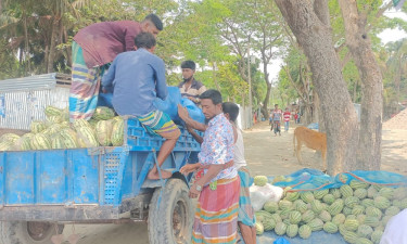 ঘাটে ঘাটে চাঁদাবাজি, বিপাকে কৃষক