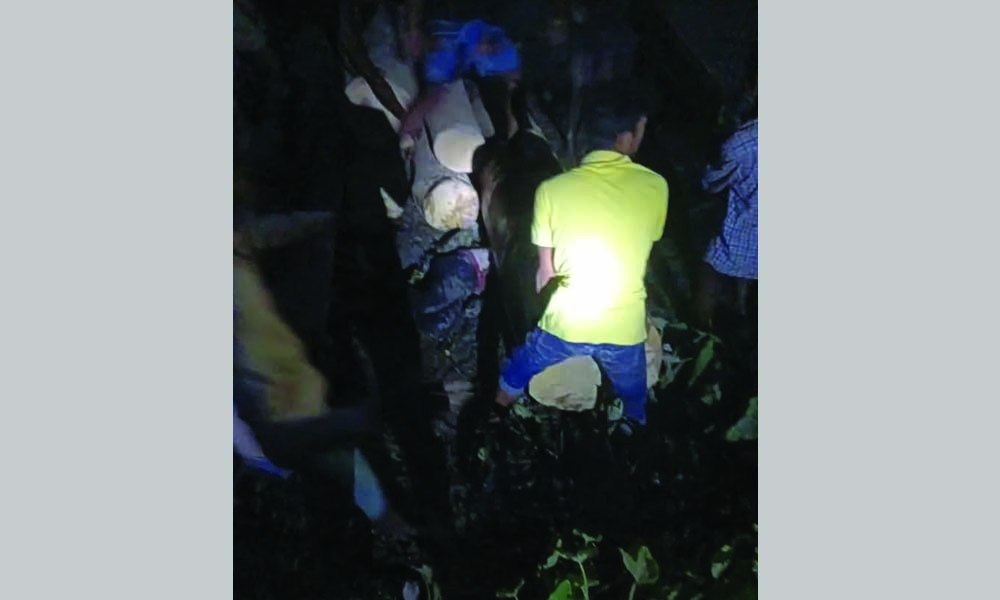 গাছ বোঝাই টমটম উল্টে যুবকের মৃত্যু