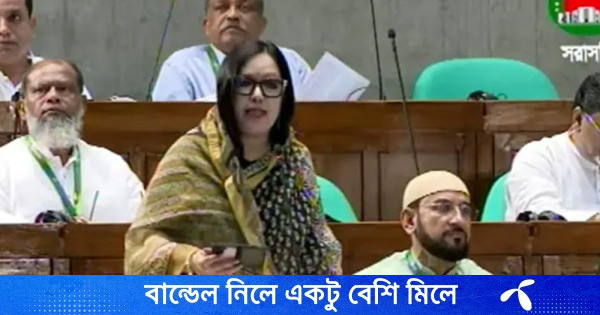 জ্বালানি নিয়ে সরকার জনগণের সঙ্গে মিথ্যাচার করছে : রুমিন ফারহানা