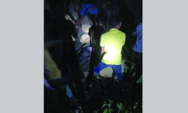 গাছ বোঝাই টমটম উল্টে যুবকের মৃত্যু