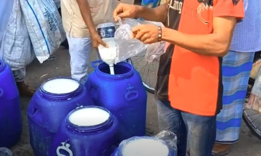 দুই ঘণ্টার হাটে দেড় কোটি টাকার দুধ বেচাকেনা