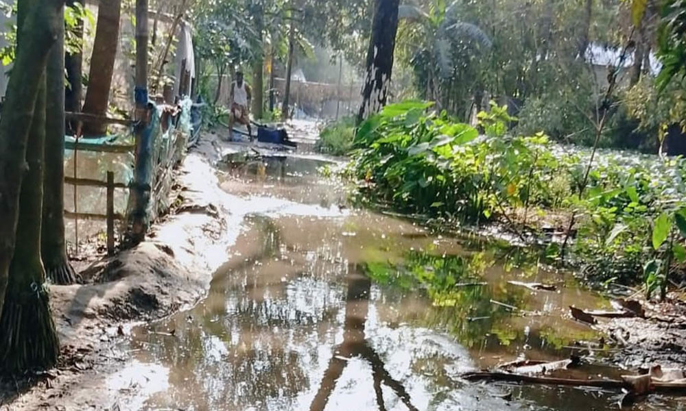 প্রভাবশালীদের খামার গিলে খাচ্ছে গ্রামীণ সড়ক