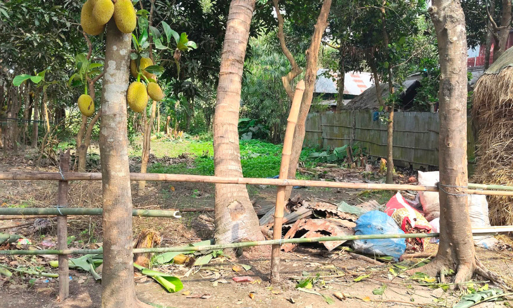 ভুয়া রায়ের কথা বলে সংখ্যালঘু পরিবারের জমি জবরদখলের অভিযোগ