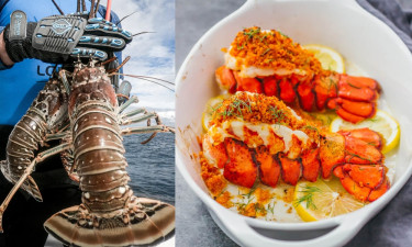 গরিবের খাবার থেকে যেভাবে রাজকীয় আহার হয়ে উঠল লবস্টার