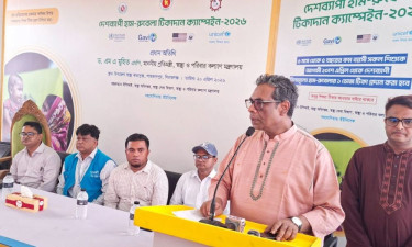 অন্তর্বর্তী সরকারের ভুলেই হামের টিকাদান ব্যাহত