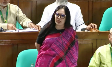 মবের শহরে পরিণত হয়েছে দেশ : রুমিন ফারহানা