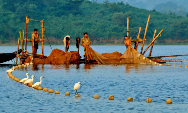 কাপ্তাই হ্রদে ২৪ এপ্রিল মধ্যরাত থেকে মাছ আহরণে নিষেধাজ্ঞা