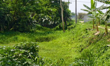 কেরানীগঞ্জে খালের মুখ বন্ধ করে রাস্তা নির্মাণের অভিযোগ