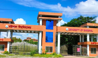 পদোন্নতির দাবিতে থেমে গেল পাঠদান